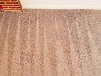 Best Carpet Cleaning Service in Adelaide image 2